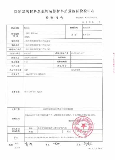技術(shù)檢測(cè)報(bào)告2